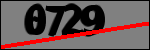 Text per identificar