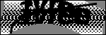 Text per identificar