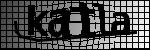 Text per identificar