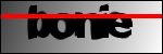 Text der identifiziert werden soll