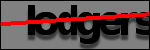 Text der identifiziert werden soll