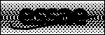 Text der identifiziert werden soll