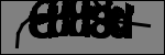 Text der identifiziert werden soll